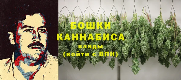 не бодяженный Арсеньев