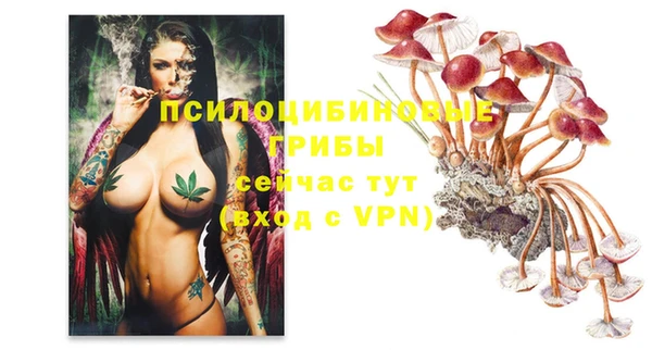 не бодяженный Арсеньев