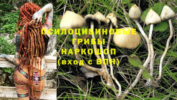 СК Аркадак