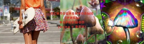 не бодяженный Арсеньев